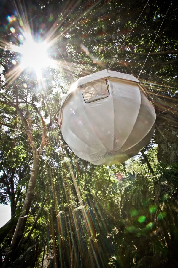 Cocoon Tree, Berni du Prayrat